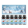 Set de Aceites Esenciales de Aromaterapia de Invierno – Humidificador, Ambientador y Calidez para el Hogar
